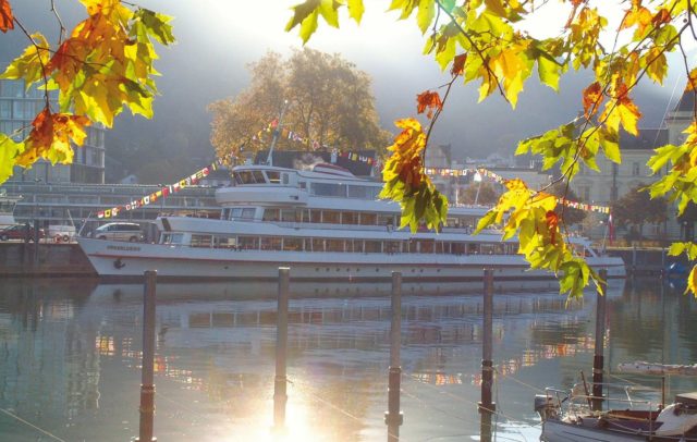 Ein Schiff des V-CARD Bonuspartner Vorarlberg Lines im Hafen von Bregenz, im Vordergrund herbstlich bunt gefärbte Blätter