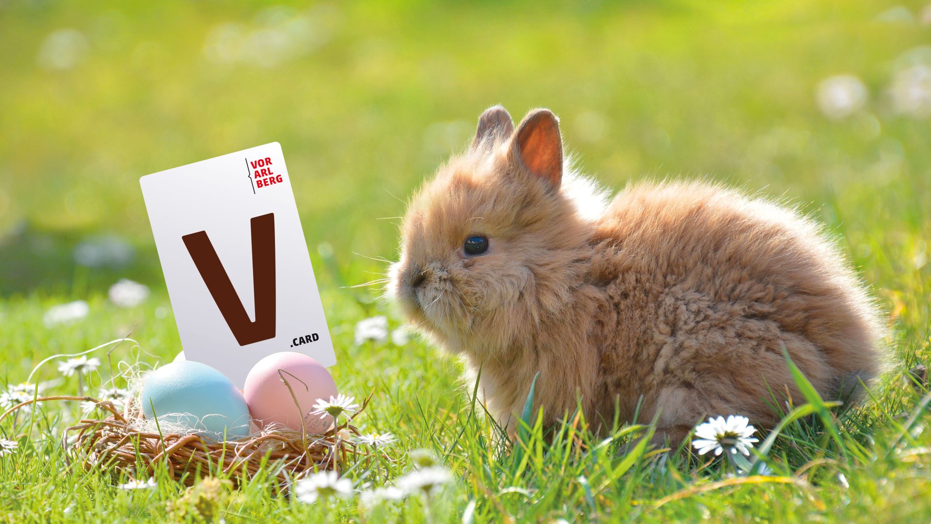 V-Card Ostermotiv 2025 (c) pixabay