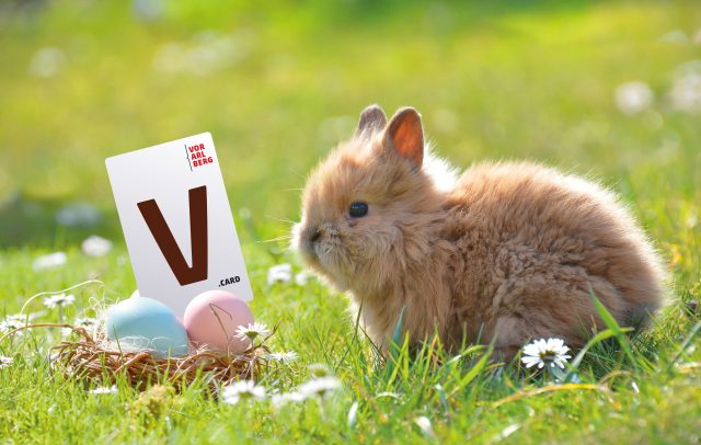 V-Card Ostermotiv 2025 (c) pixabay